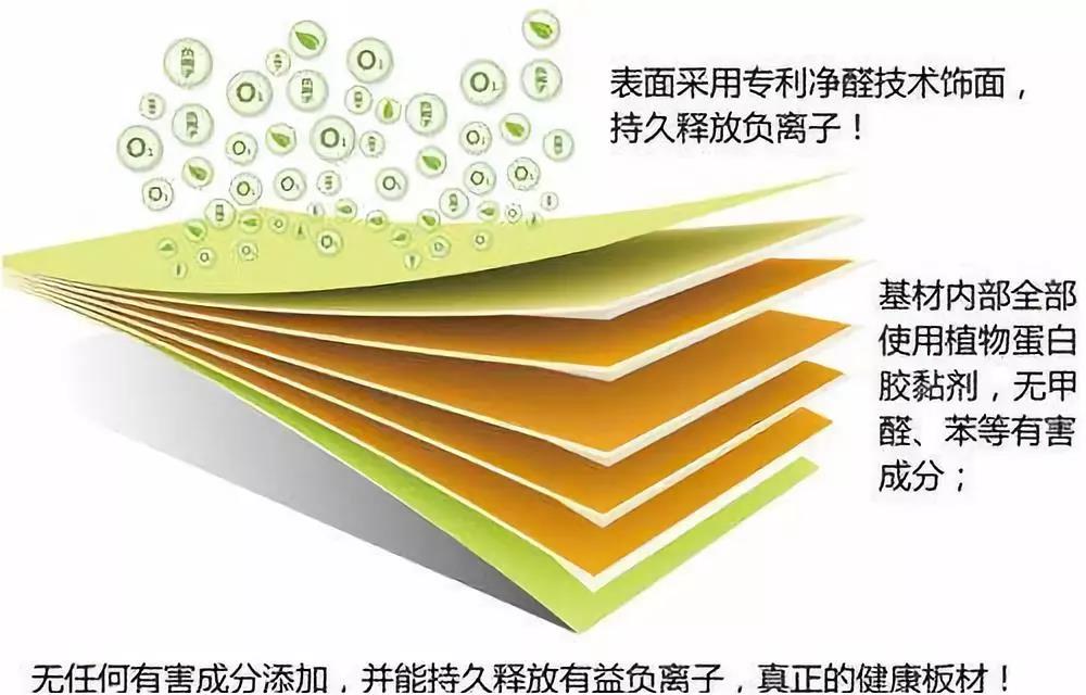 濃情端午,粽葉飄香 環(huán)保生活，健康你我