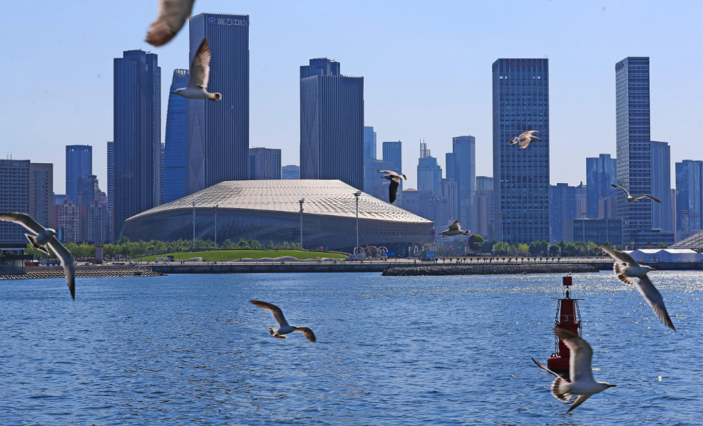 擲地有聲，重拳出擊！寰宇原木SPC海洋扳，高端裝飾的不二之選。